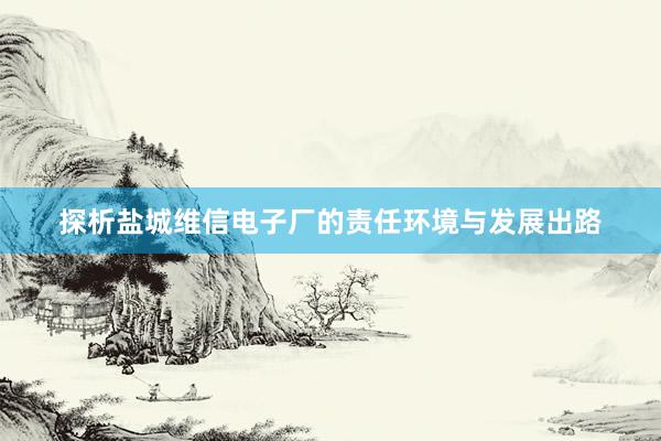 探析盐城维信电子厂的责任环境与发展出路