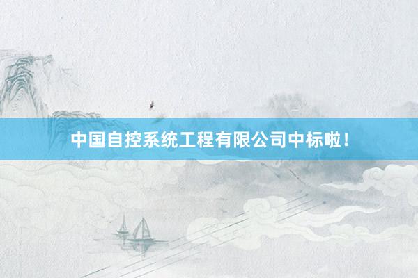 中国自控系统工程有限公司中标啦！